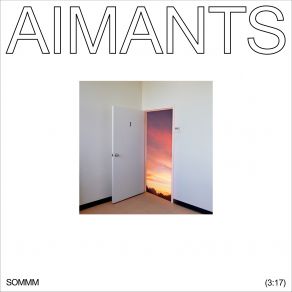 Download track AIMANTS Ariane Moffatt, D R M S