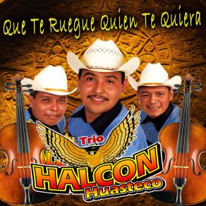 Download track Belleza De Cantina Trio Halcon Huasteco