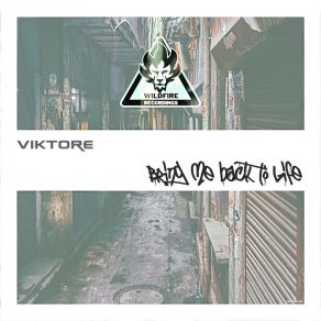 Download track A Love Affair ViktorE