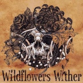 Download track Lazy Lady (B-Side) Wildflowers Wither