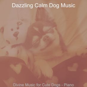 Download track Lonely Ambiance For Cute Dogs Dazzling Calm Dog Music