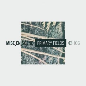 Download track Primary Fields Pt 1 Mise En Scene