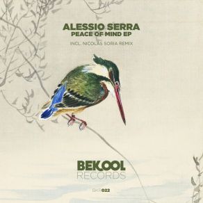 Download track Peace Of Mind Alessio Serra