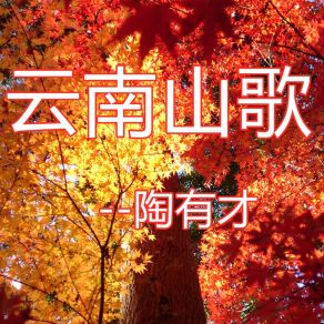 Download track 云南山歌 陶有才