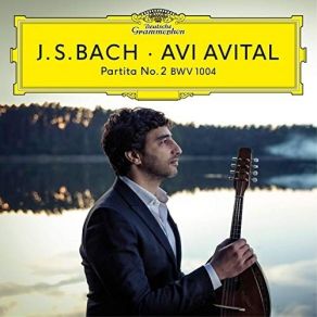 Download track 05 - 5. Ciaccona (Arr. For Mandolin By Avi Avital) Johann Sebastian Bach