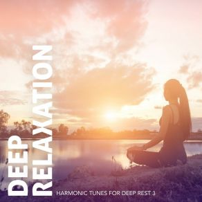 Download track Harmonic Tunes For Deep Rest, Pt. 17 Craig Hewitt