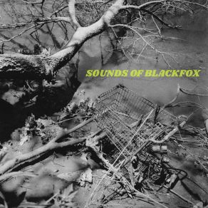 Download track Debutante Sounds Of Blackfox