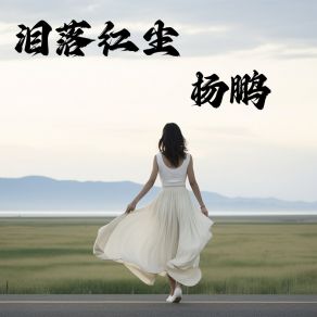 Download track 落泪红尘 (伴奏) 杨鹏