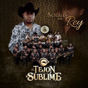 Download track Poncho Tirado Su Banda La Sublime De Zirahuén