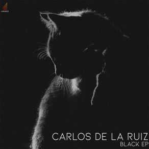 Download track Fireworks Carlos De La Ruiz