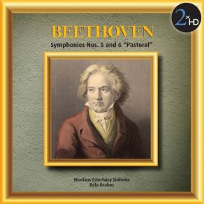 Download track I. Allegro Con Brio Nicolaus Esterházy Sinfonia, Béla Drahos