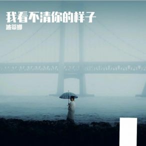 Download track 我看不清你的样子 波蒂娜