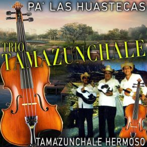 Download track Tamazunchale Hermoso Trío Tamazunchale