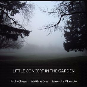 Download track Lullaby For Medlar Tree Paulo Chagas, Matthias Boss, Maresuke Okamoto