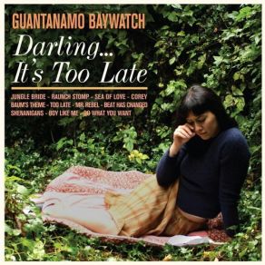 Download track Jungle Bride Guantanamo Baywatch