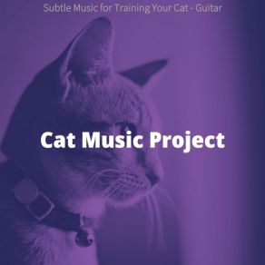 Download track Fiery Ambiance For Resting Kittens Cat Music Project