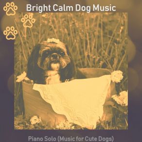 Download track Amazing Music For Doggy Training Bright Calm Dog Music