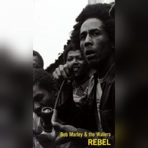 Download track Fussing And Fighting Bob Marley, The Wailers