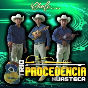 Download track La Vivora De La Mar TRIO PROCEDENCIA HUASTECA