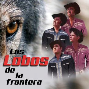 Download track Tengo Miedo De Quererte Los Lobos De La Frontera