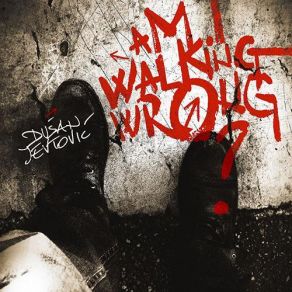 Download track Am I Walking Wrong? Dusan Jevtovic