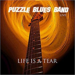 Download track Walkin' And Talkin' Puzzle Blues Band