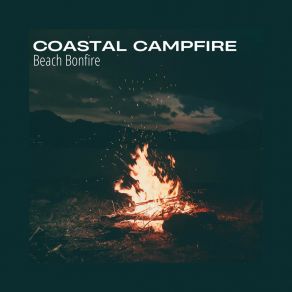 Download track Seaside Sanctuary Bonfire Beach