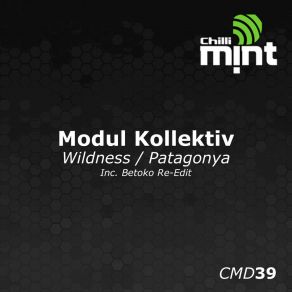 Download track Patagonya Modul Kollektiv