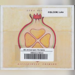 Download track My Old Friend The Oak Tree Luka Bloom