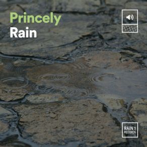Download track Princely Rain, Pt. 22 Rainfall