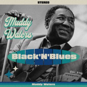 Download track I Got A Rich Man's Woman Muddy Waters