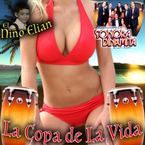 Download track La Vida Es Un Carnaval Sonora Dinamita