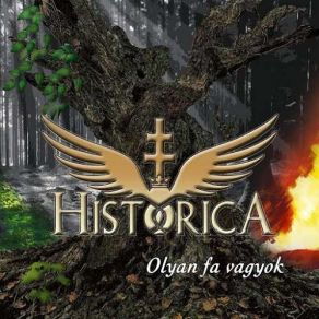 Download track Munkács Vára Siratta Historica