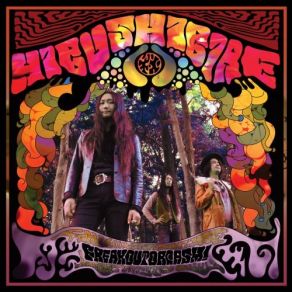 Download track Trepanation Breakdown Hibushibire