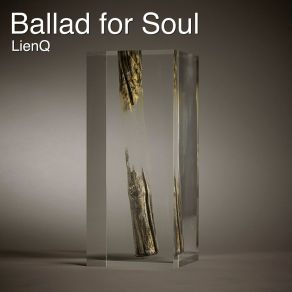 Download track Soul Burned Lienq