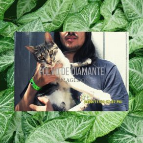 Download track George Costanza POLVO DE DIAMANTE