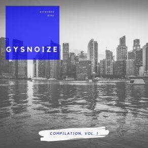 Download track Distortion Gysnoize