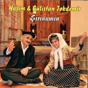 Download track Gelde Tanı Çelikani Haşim, Gülistan Tokdemir