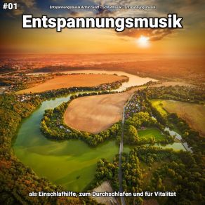 Download track Entspannungsmusik Pt. 65 Entspannungsmusik