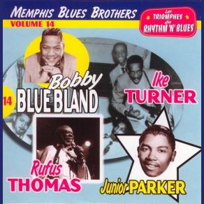 Download track Wise Man's Blues Bobby Bland