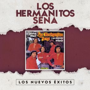 Download track Amor Sin Igual Los Hermanitos Sena