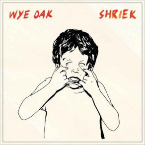 Download track Logic Of Color Wye Oak