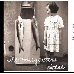 Download track In The Money The Honeycutters