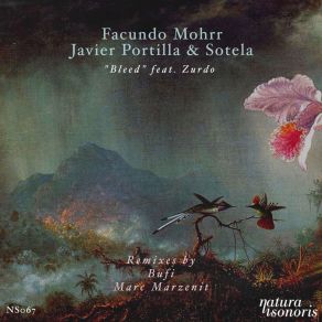 Download track Bleed (Marc Marzenit Remix) Facundo Mohrr, Sotela, Javier Portilla, Zurdo