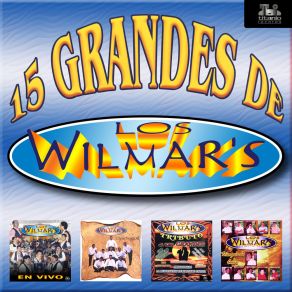 Download track Llorando Los Wilmar's