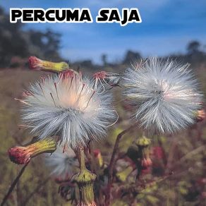 Download track Percuma Saja Kevin Chantona