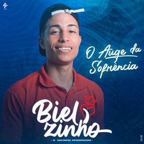 Download track Casa Revirada Bielzinho Cantor