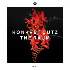 Download track Kosmonauten (Original Mix) Konkret Cutz