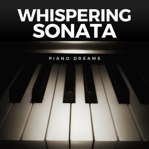 Download track Soft Piano Music The Dreams