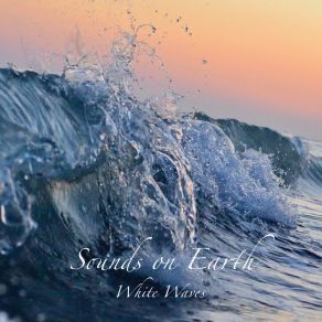 Download track Strong Winds By The Sea Sounds On Earth